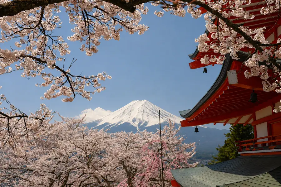 Mount Fuji, cherry blossoms and a traditional Japanese temple